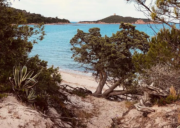 Beautiful Villa, Pool, Sea, 5 Bedrooms Villa Zonza